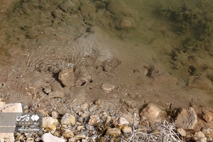 زندگیِ دوباره «دِهنو»