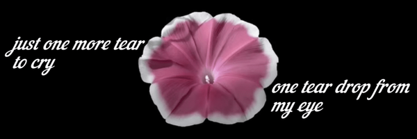 تصویر سربرگ نمایه‌ی ‌dodo‌