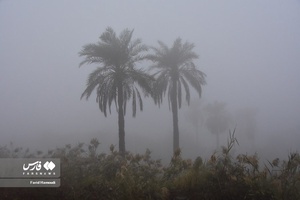 مه صبحگاهی در آبادان
