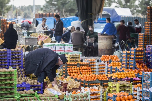میوه میدان میوه