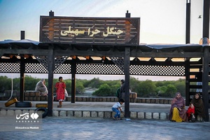 جنگل حَرّا؛ یکی از «عجایب هفتگانه قشم»