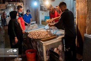 فصل صید میگو در بوشهر