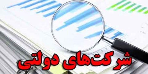 شرکت های دولتی