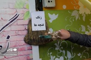 آغاز سال تحصیلی  در چالوس 