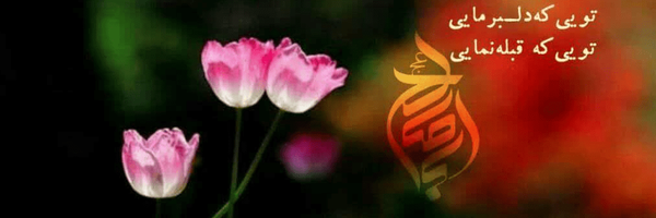 تصویر سربرگ نمایه‌ی ‌9**3273‌