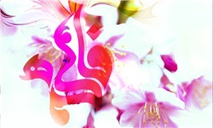 حضرت فاطمه زهرا