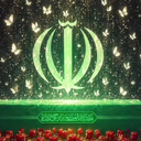 تصویر نمایه‌ی ‌سید امیر حسین ناصرزاده‌