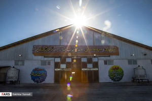 گاوداری‌ 6 هزار راسی