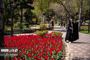 علاقمندان به گل و گیاه  در باغ گل لاله چمران مشغول گرفتن عکس یادگاری هستند.