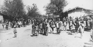 سرشماری