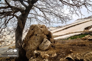 طبیعت بهاری «بازفت»