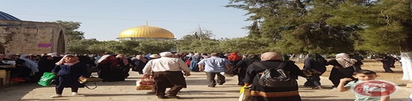 فلسطین