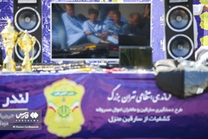 طرح دستگیری سارقین