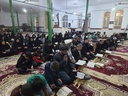 ‌محمد امین سجادی‌ در فارس : 