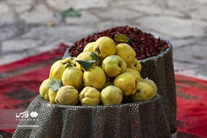 دومین جشنواره هیوا(به)گیوی