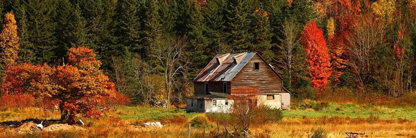 تصویر سربرگ نمایه‌ی ‌𝒜𝓉𝑒𝓃𝒶‌
