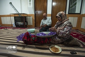 زعفران نوبرانه