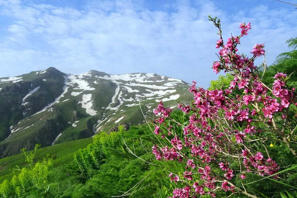 دیواندره