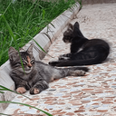 تصویر نمایه‌ی ‌صبر هم اندازه داره‌