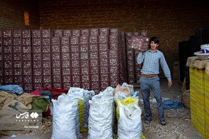 «تیمورلو» قطب تولید سیر ایران