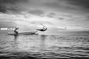 برگزیده بخش حرکت