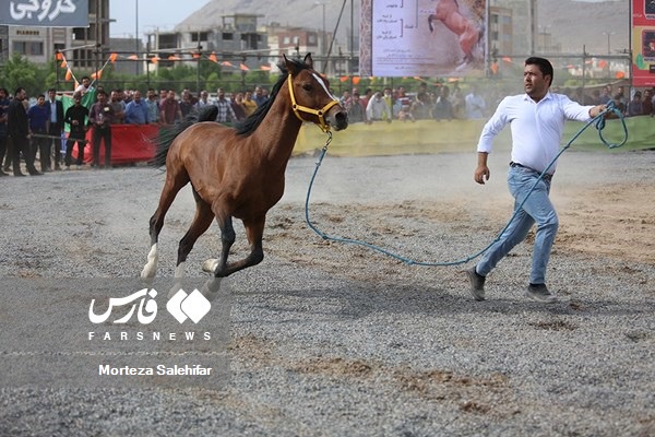 همایش اسب سواری گرامیداشت شهدای عشایری کشور در شهرکرد