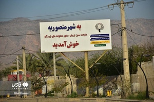 جلوه بی نظیر شکوفه های درختان زردآلو منصوریه 