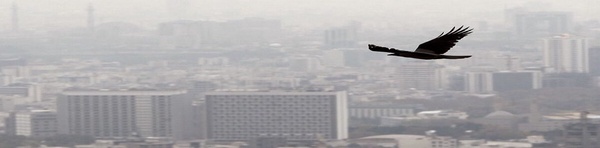 آلودگی