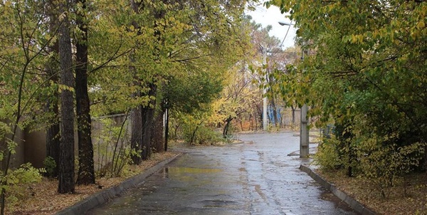 هواشناسی