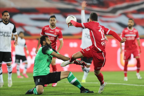 پرسپولیس و هوادار، هوادار و پرسپولیس