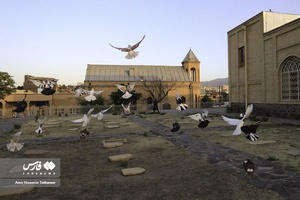  «هگمتانه» در آستانه ثبت جهانی