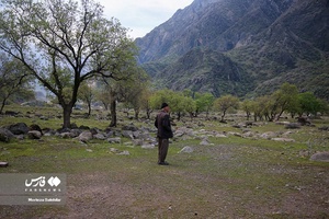 روز طبیعت در آبشار «دره عشق»