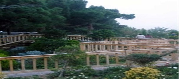 باغ پرندگان