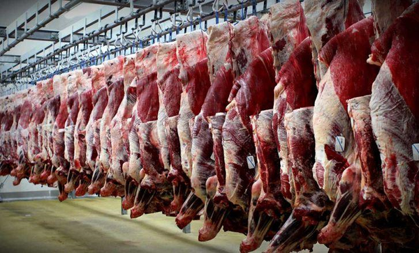 گوشت گوسفند تنظیم بازار