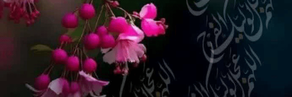 تصویر سربرگ نمایه‌ی ‌9**7534‌