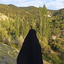 تصویر نمایه‌ی ‌دختر سبلانم‌