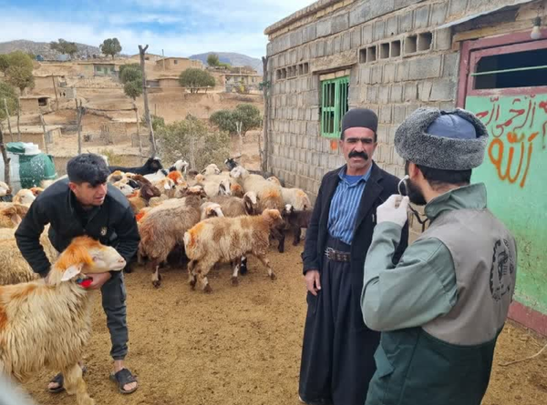 دامپزشکی