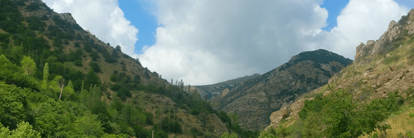 تصویر سربرگ نمایه‌ی ‌اخبار فوری ایران‌