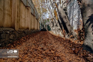 پاییزِ البرز