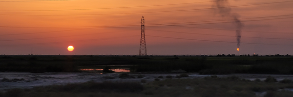 تصویر سربرگ نمایه‌ی ‌میلاد منصوری‌