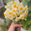 تصویر نمایه‌ی ‌fa.aalinezhad‌