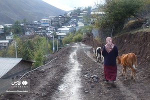 بانوان روستایی مازندران 