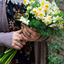 تصویر نمایه‌ی ‌Gordafarid‌