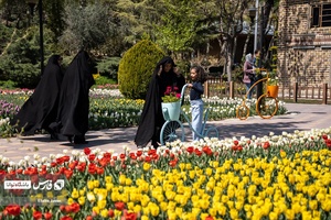 بازدید و حضور علاقمندان به گل و گیاه  در باغ گل لاله چمران