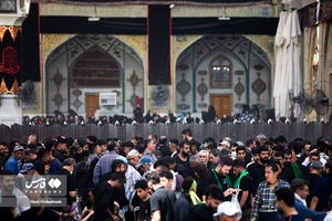  حرم امام علی (ع) در آستانه اربعین حسینی 