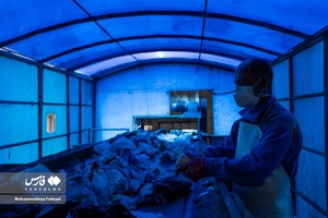  سایت دفن زباله برمشور شيراز