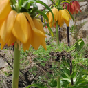 تصویر نمایه‌ی ‌اکبر ذوالفقاری‌