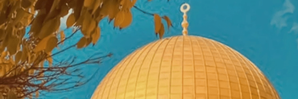تصویر سربرگ نمایه‌ی ‌Amin.q‌
