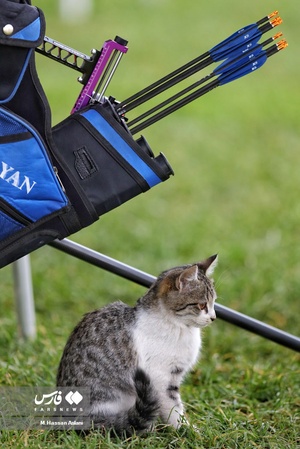 مسابقات لیگ برتر تیراندازی با کمان