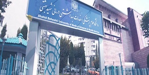 دانشگاه